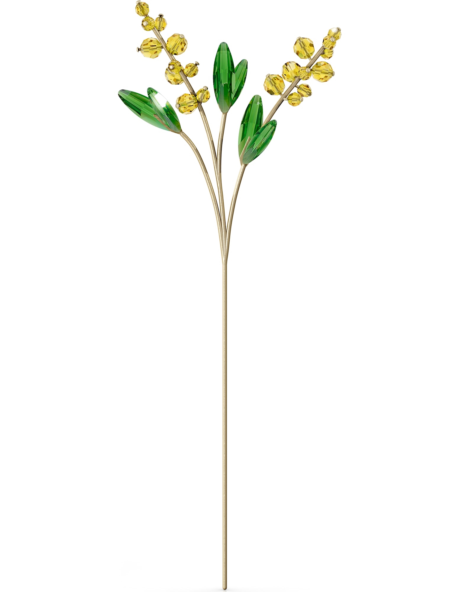 Picture of Garden Tales Mimosa Çiçeği